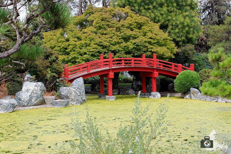 San José - Japanese Friendship Garden