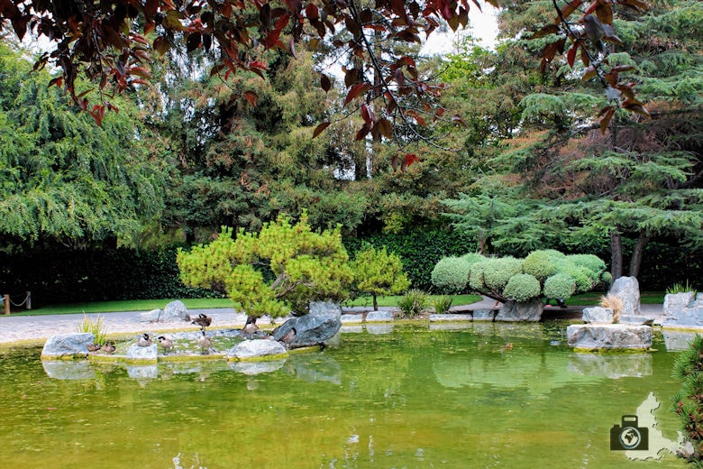 San José - Japanese Friendship Garden