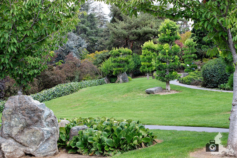 San José - Japanese Friendship Garden