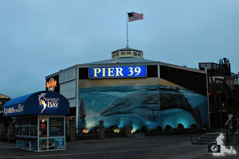 Sehenswürdigkeiten San Francisco - Pier 39