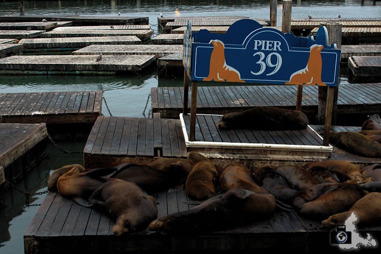 Sehenswürdigkeiten San Francisco - Pier 39