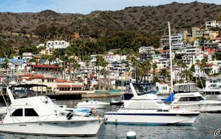 Catalina Island