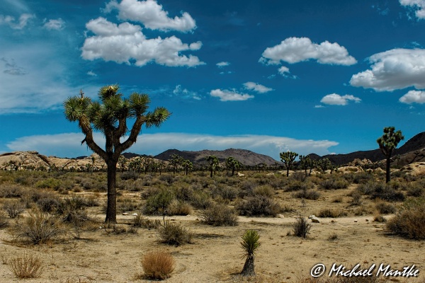 Faszination Nationalparks