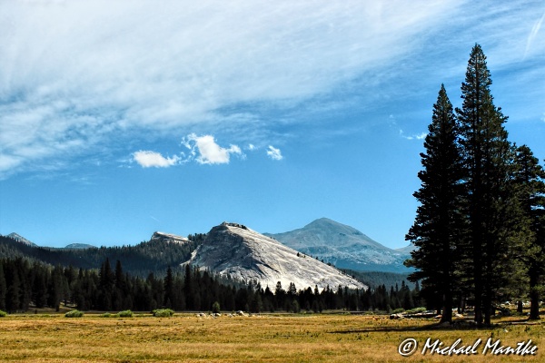 Tioga Pass