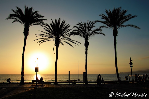playa de las americas
