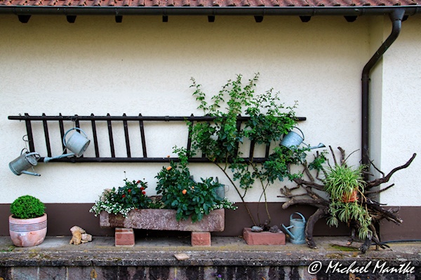 Freiburg St. Georgen Juli