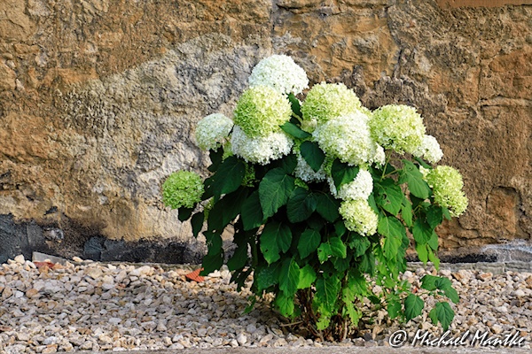 Freiburg St. Georgen