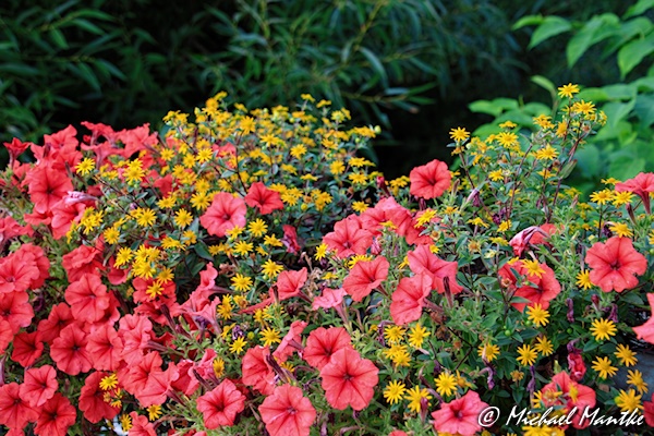 Freiburg St. Georgen