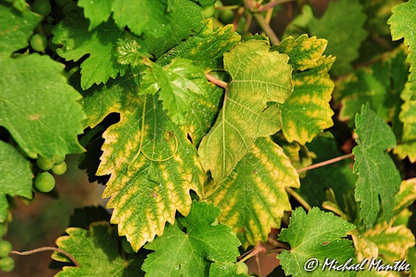 Freiburg St. Georgen