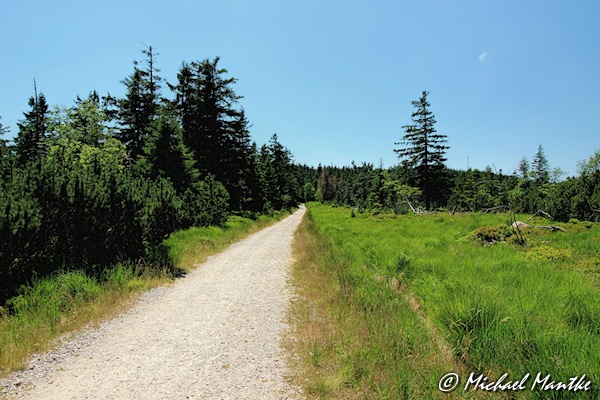 Nationalpark Schwarzwald