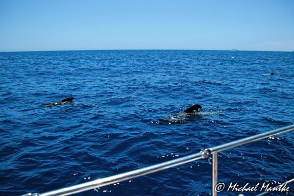 Ausflugsziele auf Teneriffa