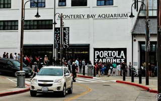 monterey bay aquarium