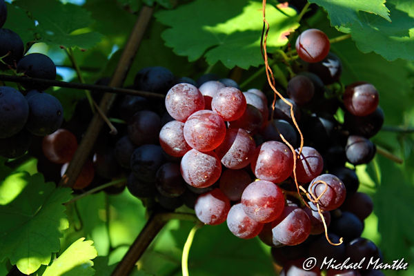 Herbst Bilder