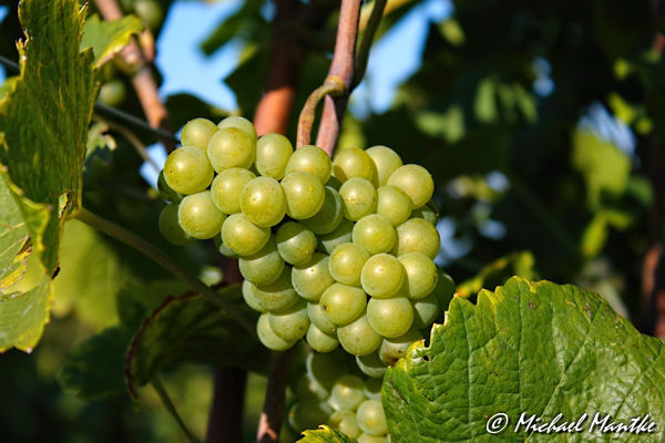 Herbst Bilder