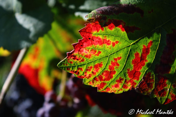 Herbst Bilder