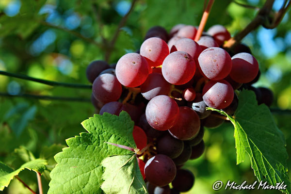 Herbst Bilder