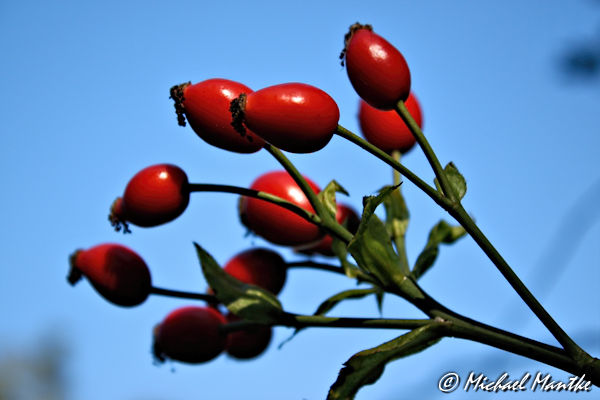 Herbst Bilder