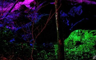 Ravennaschlucht Weihnachtsmarkt