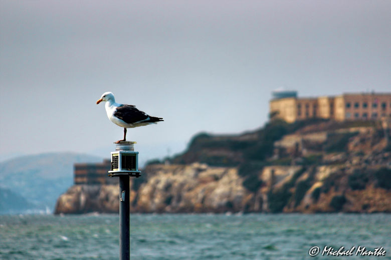 #challengeonnaturephotography