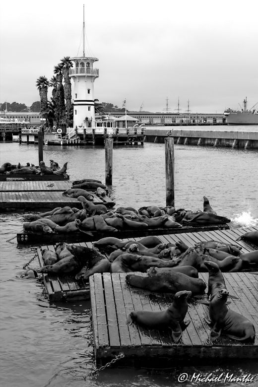 #challengeonnaturephotography