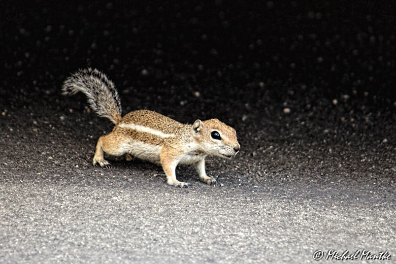 #challengeonnaturephotography