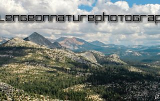 challengeonnaturephotography‬