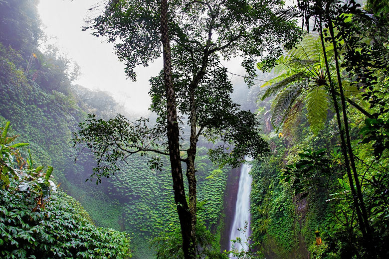 Steckbrief Aequatorialguinea