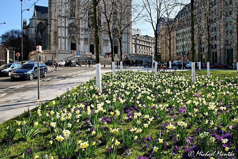 Bruessel Kathedrale St Michael und St Gudula