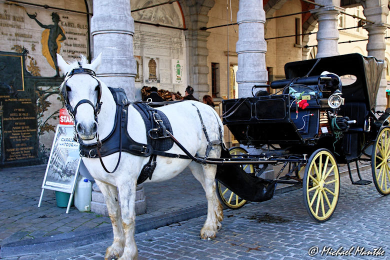 Bruessel Kutschfahrt