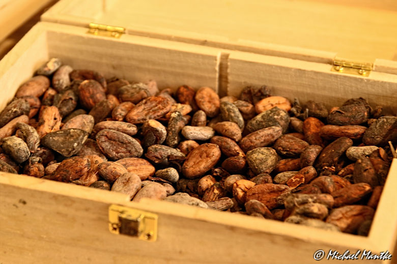 Bruessel Schokoladen Museum