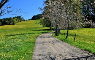 Wandern St Peter St Maergen Schwarzwald