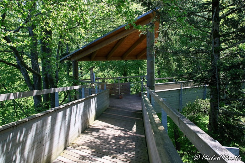 Baumkronenweg Waldkirch 