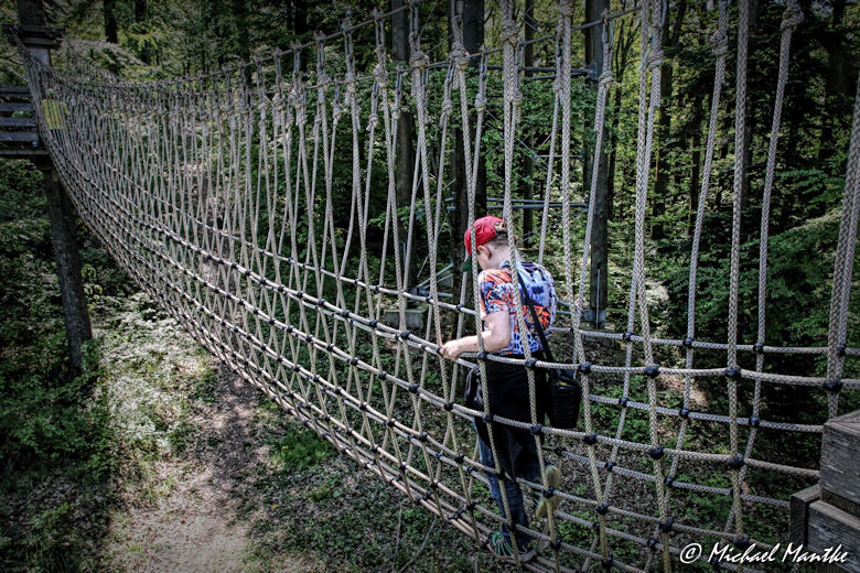 Baumkronenweg Waldkirch Hängebrücke Abenteuerweg