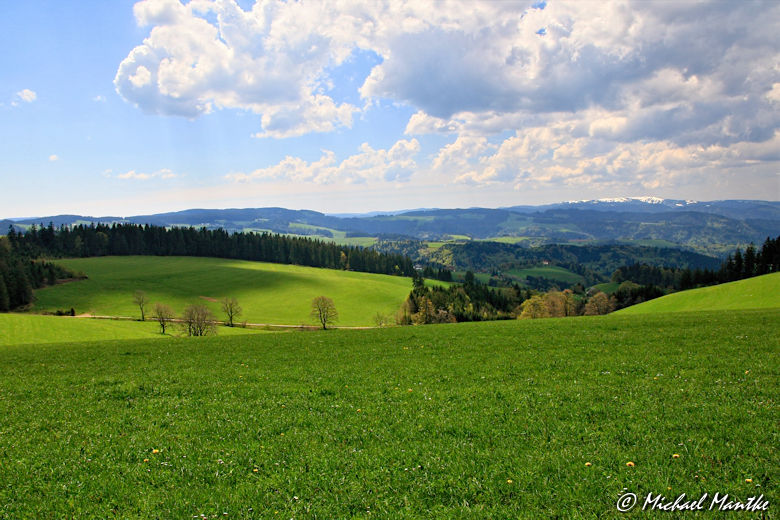 Panoramaweg St. Märgen - Südschwarzwald