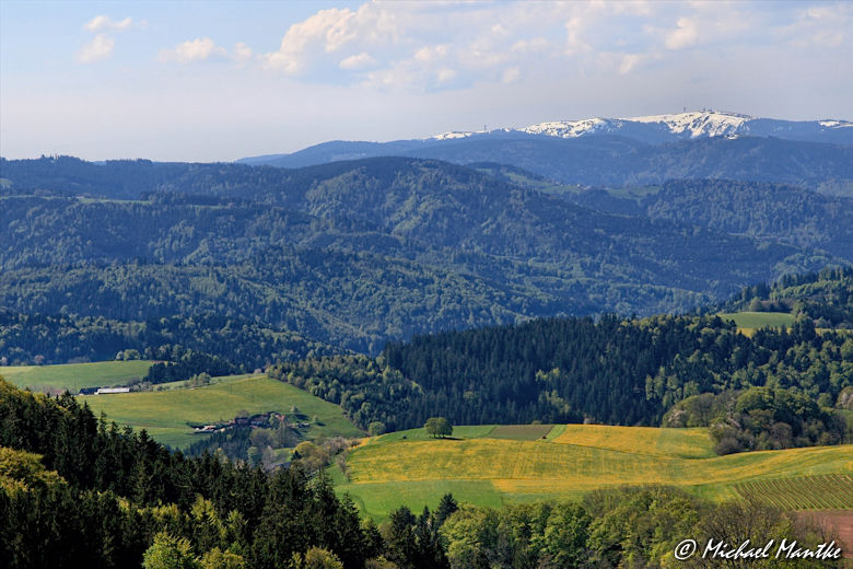 Panoramaweg St. Märgen - Blick auf den Feldberg im Schwarzwald
