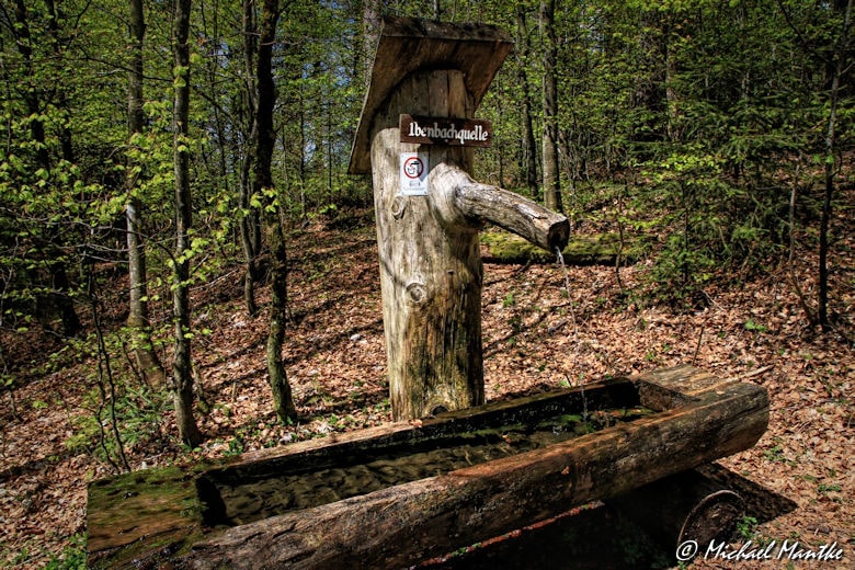 Panoramaweg St. Märgen - Ibenbachquelle