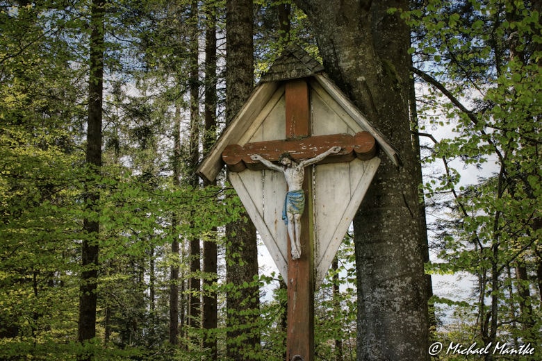 Panoramaweg St. Märgen - Jesuskreuz im Wald