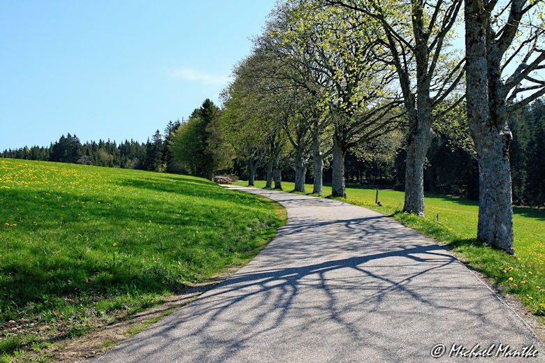 Panoramaweg St. Märgen - Landstraße