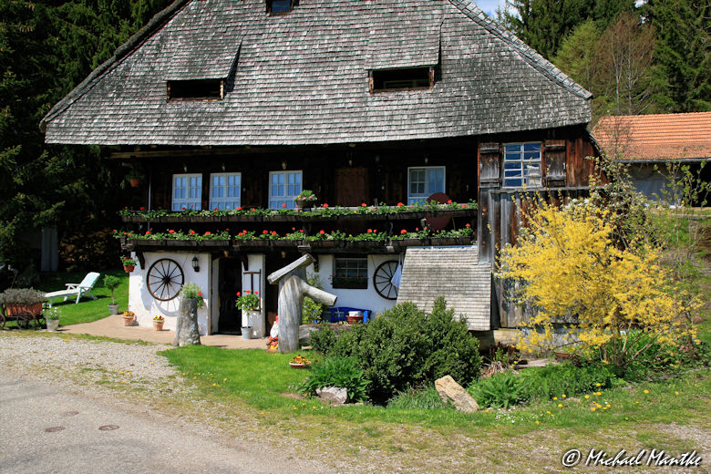Panoramaweg St. Märgen - Rankmühle
