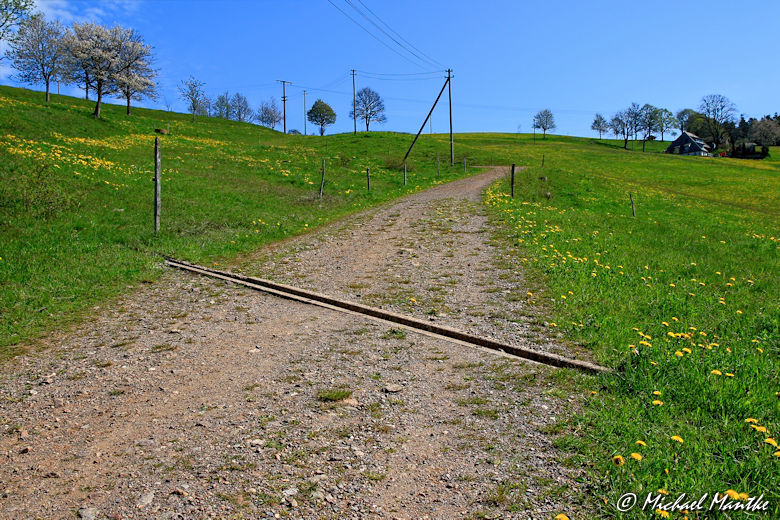 Panoramaweg St. Märgen - Feldweg mit Schlagritze