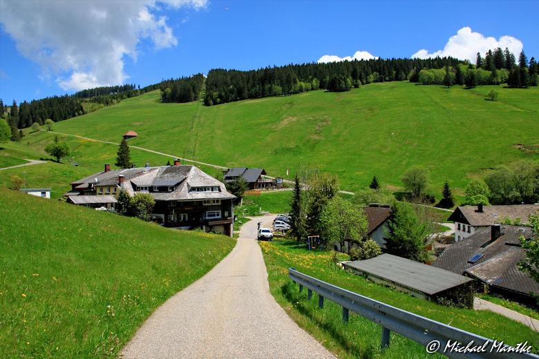 Martin Heidegger Rundwanderweg - Blick auf Todtnauberg