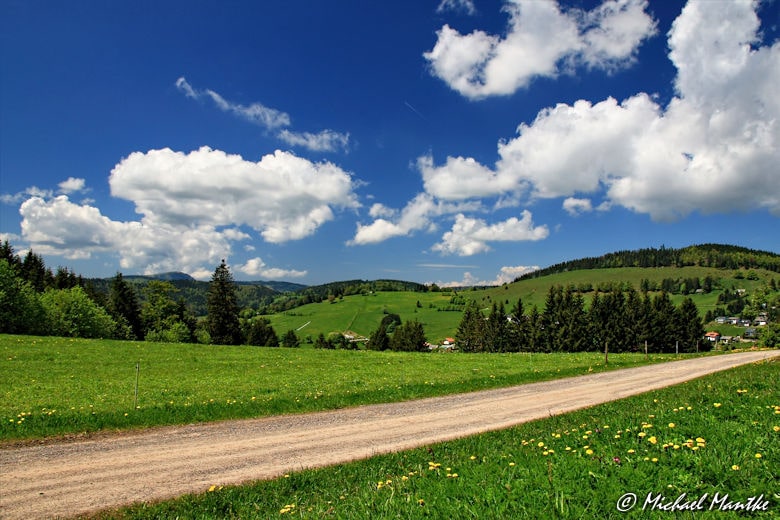 Martin Heidegger Rundwanderweg bei Todtnauberg - Wanderweg Südschwarzwald