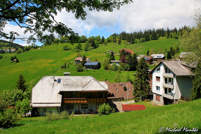 Martin Heidegger Rundwanderweg - Blick auf Todtnauberg