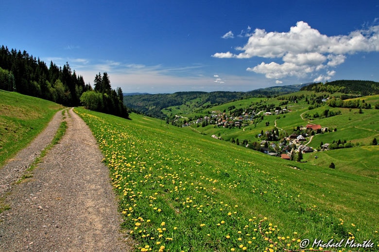 Martin Heidegger Rundwanderweg - Blick auf Todtnauberg