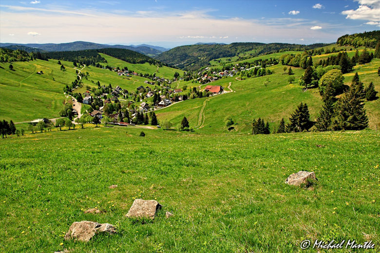Martin Heidegger Rundwanderweg bei Todtnauberg - Blick ins Tal
