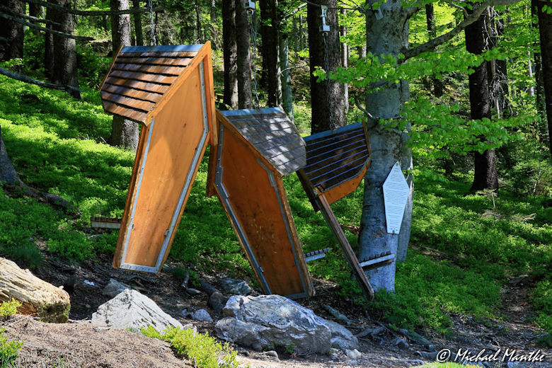 Martin Heidegger Rundwanderweg bei Todtnauberg - Vogelhäuschen als Sitz