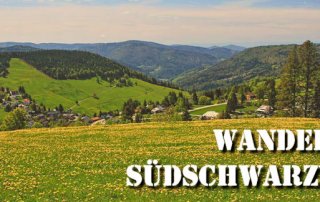 Martin Heidegger Rundwanderweg bei Todtnauberg