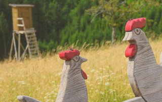 Hahn-und-Henne-Runde