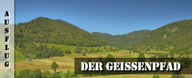 Menzenschwand Geissenpfad Schwarzwälder Geniesserpfad