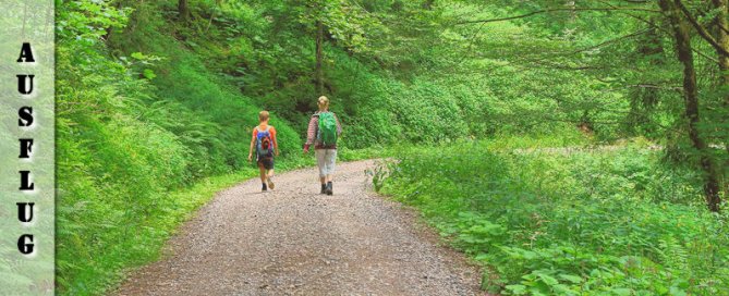 Vom Schauinsland nach Horben wandern